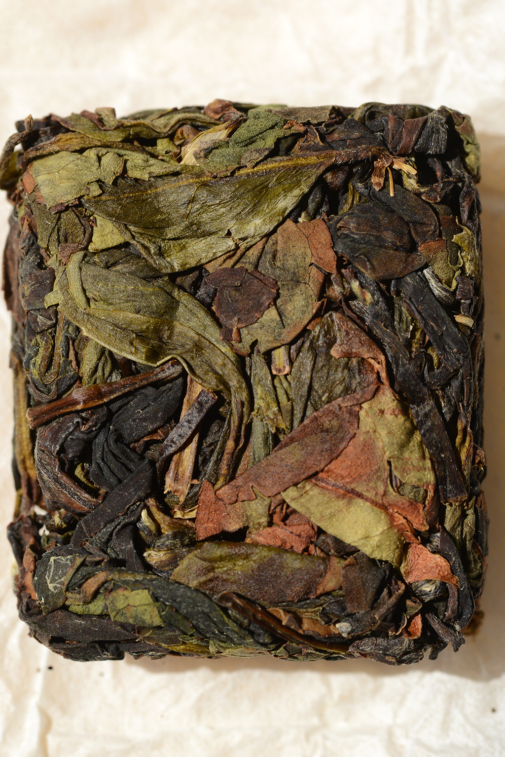 漳平水仙 Zhang Ping Shui Xian tea